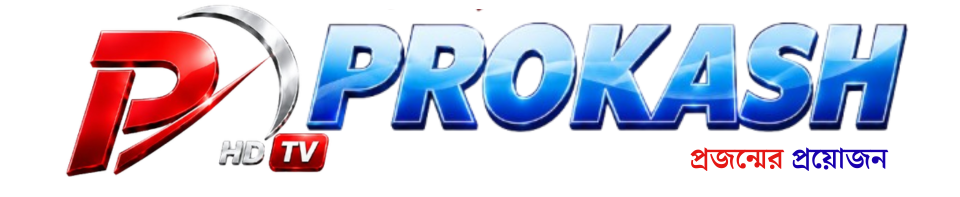 My Blog